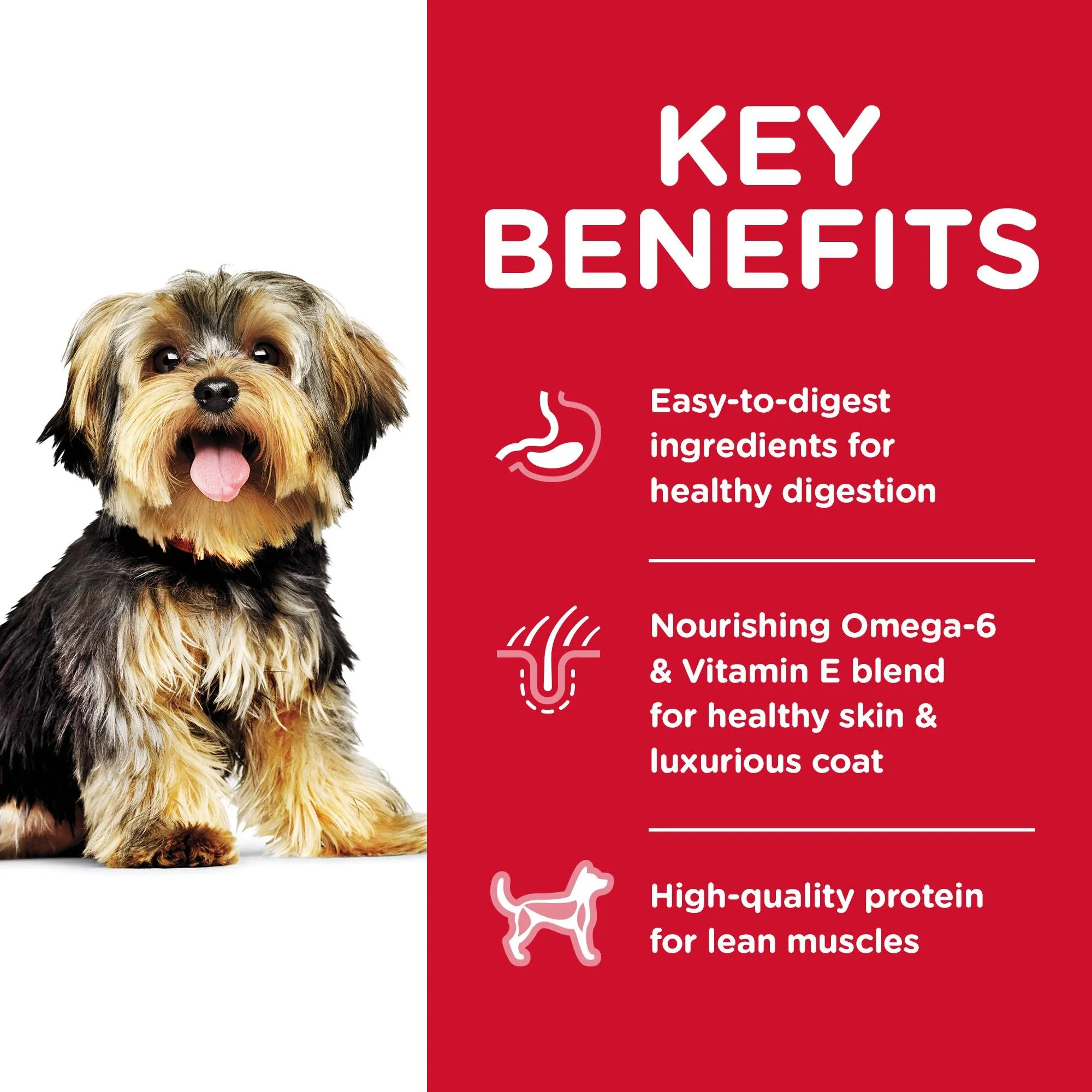 Hill's Science Diet Adult Small Paws Dry Dog Food, Chicken Meal & Rice Recipe