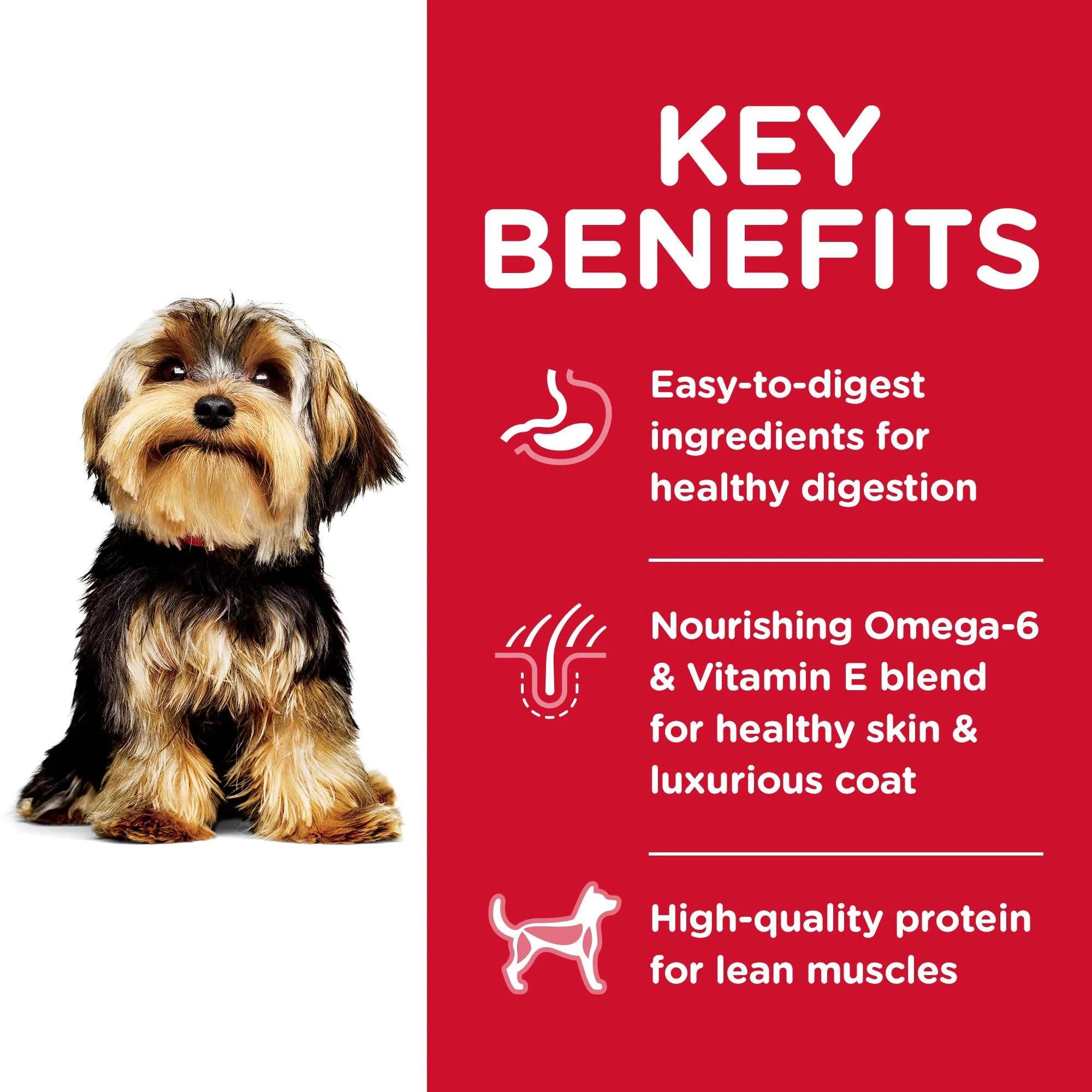 Hill's Science Diet Adult Small Paws Dry Dog Food, Lamb Meal & Brown Rice Recipe