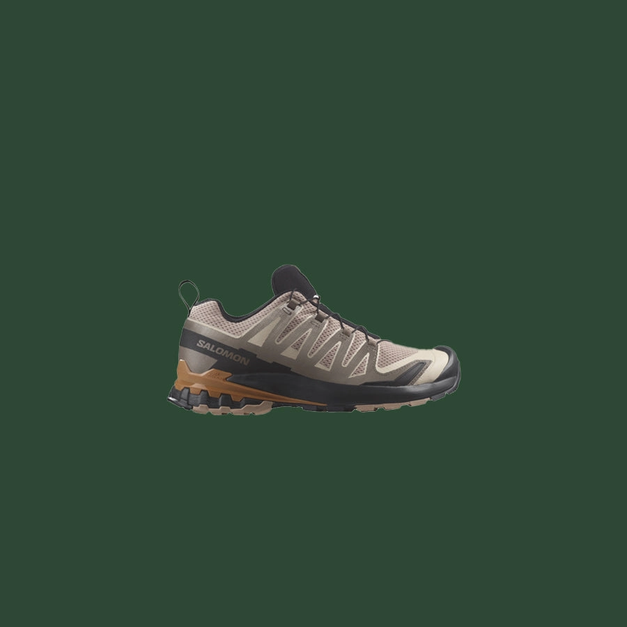 Men's Salomon XA PRO 3D V9