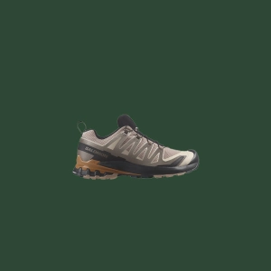 Men's Salomon XA PRO 3D V9