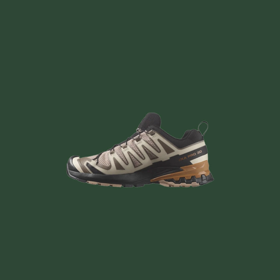 Men's Salomon XA PRO 3D V9
