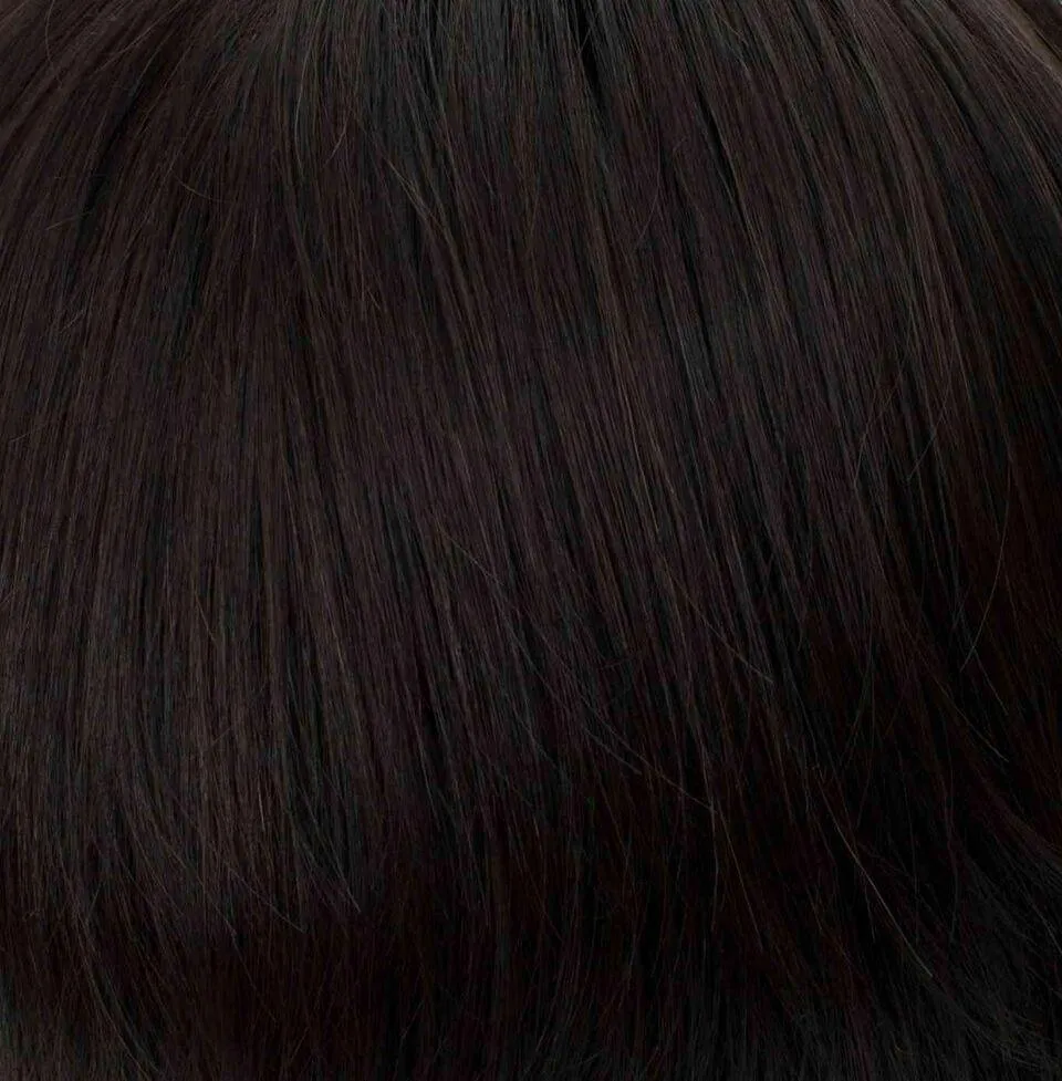 Pin Up Clip-On Hairpiece by Tony of Beverly | Synthetic Hairpiece | Clearance Sale